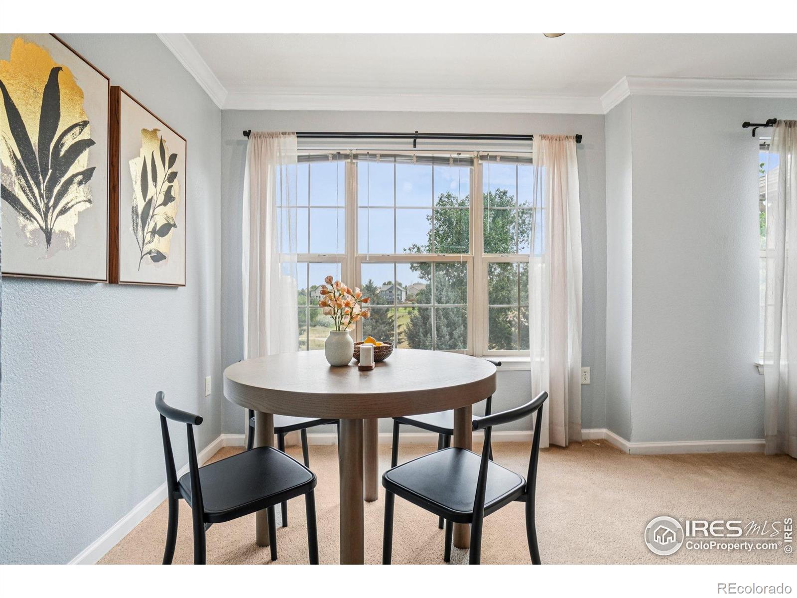 MLS Image #6 for 5620  fossil creek parkway,fort collins, Colorado