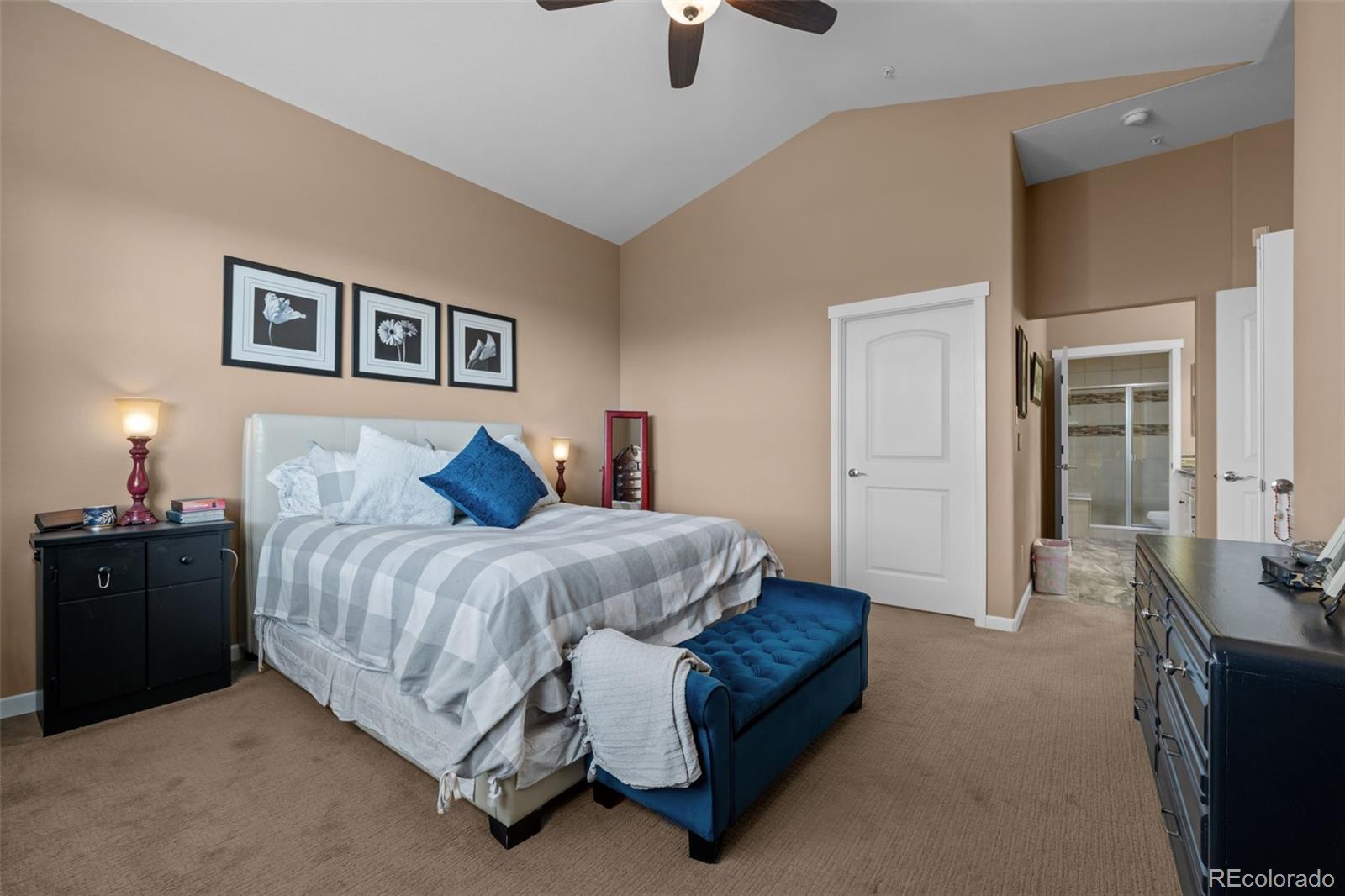 MLS Image #17 for 2198  primo road,highlands ranch, Colorado