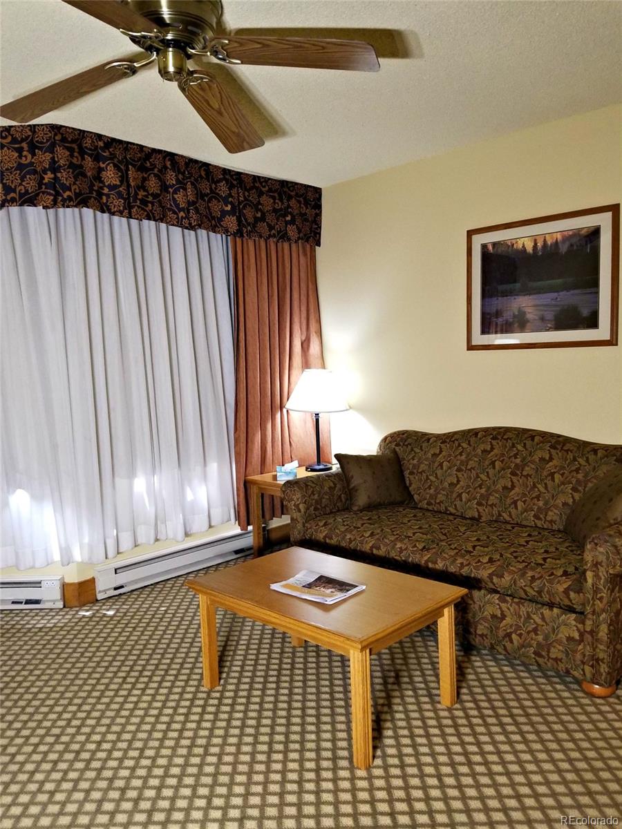 MLS Image #8 for 6  emmons road,mt crested butte, Colorado