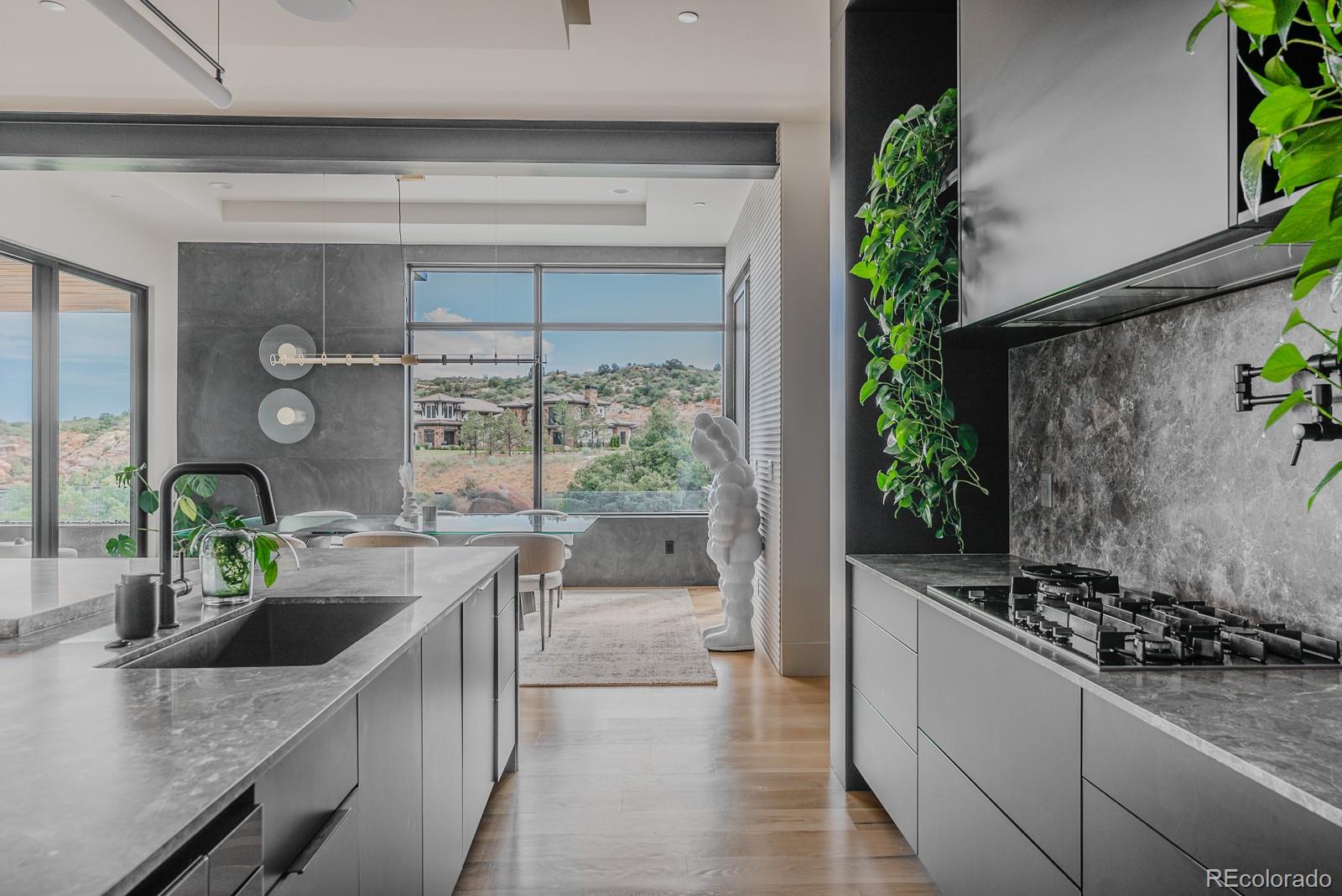 MLS Image #10 for 11181  bramante lane,littleton, Colorado