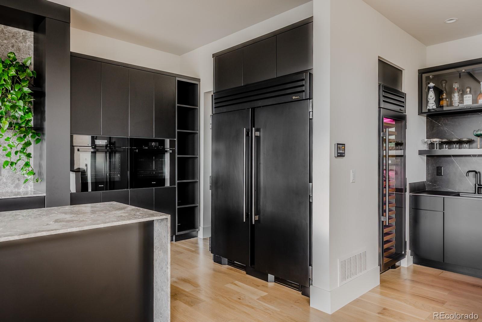 MLS Image #11 for 11181  bramante lane,littleton, Colorado