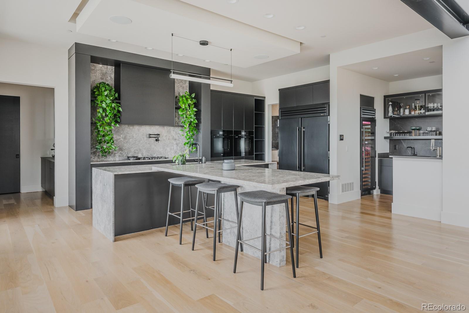 MLS Image #9 for 11181  bramante lane,littleton, Colorado