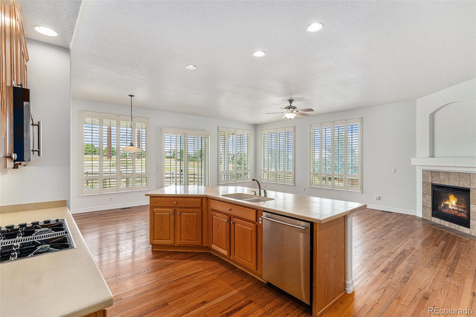 MLS Image #11 for 7589  iridium court,castle rock, Colorado
