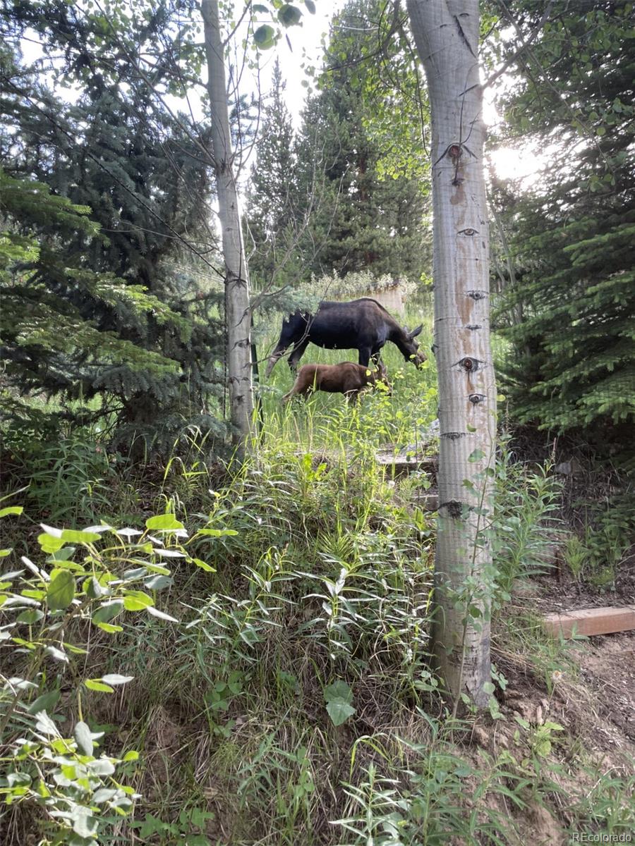 MLS Image #25 for 81  gcr 461 ,grand lake, Colorado