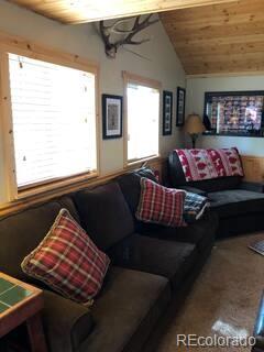 MLS Image #9 for 81  gcr 461 ,grand lake, Colorado