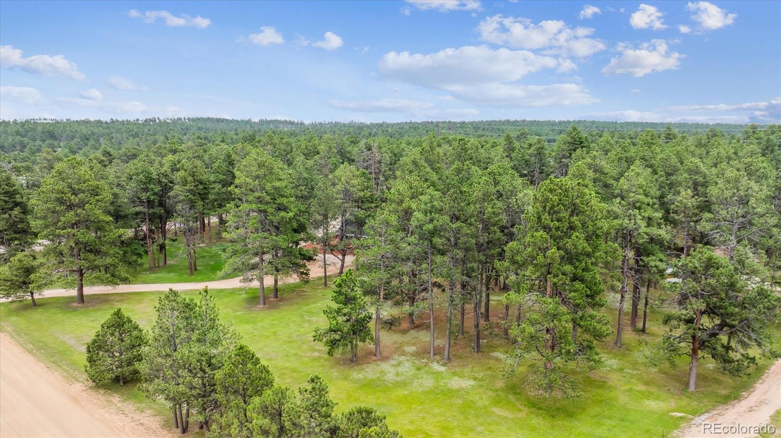 MLS Image #2 for 8725  kirk drive,colorado springs, Colorado