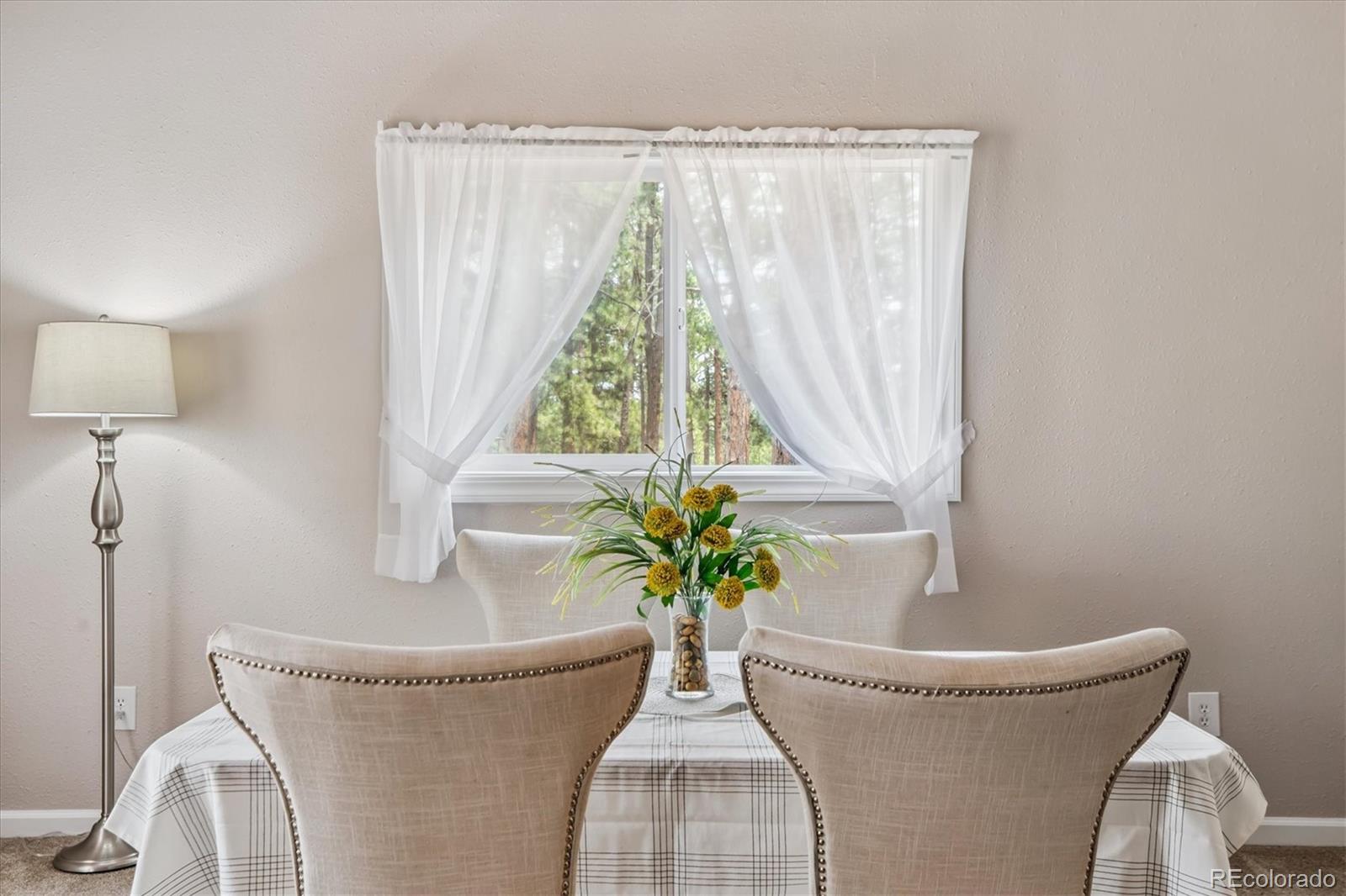 MLS Image #8 for 8725  kirk drive,colorado springs, Colorado
