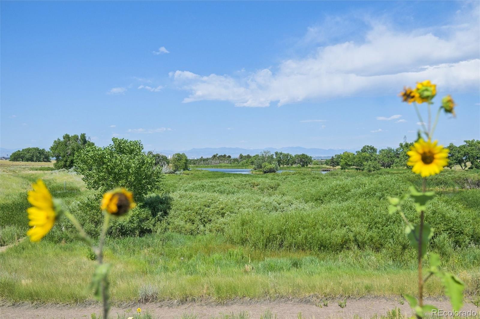 MLS Image #29 for 15612 e 96th way,commerce city, Colorado