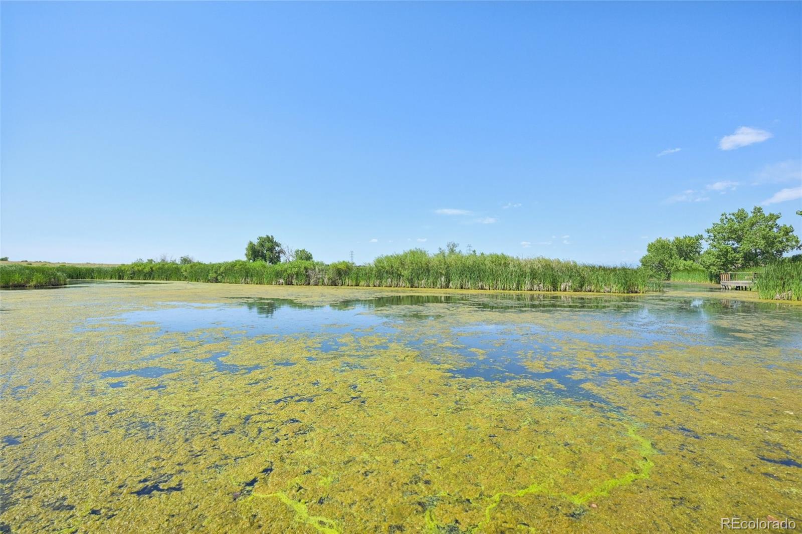 MLS Image #30 for 15612 e 96th way,commerce city, Colorado