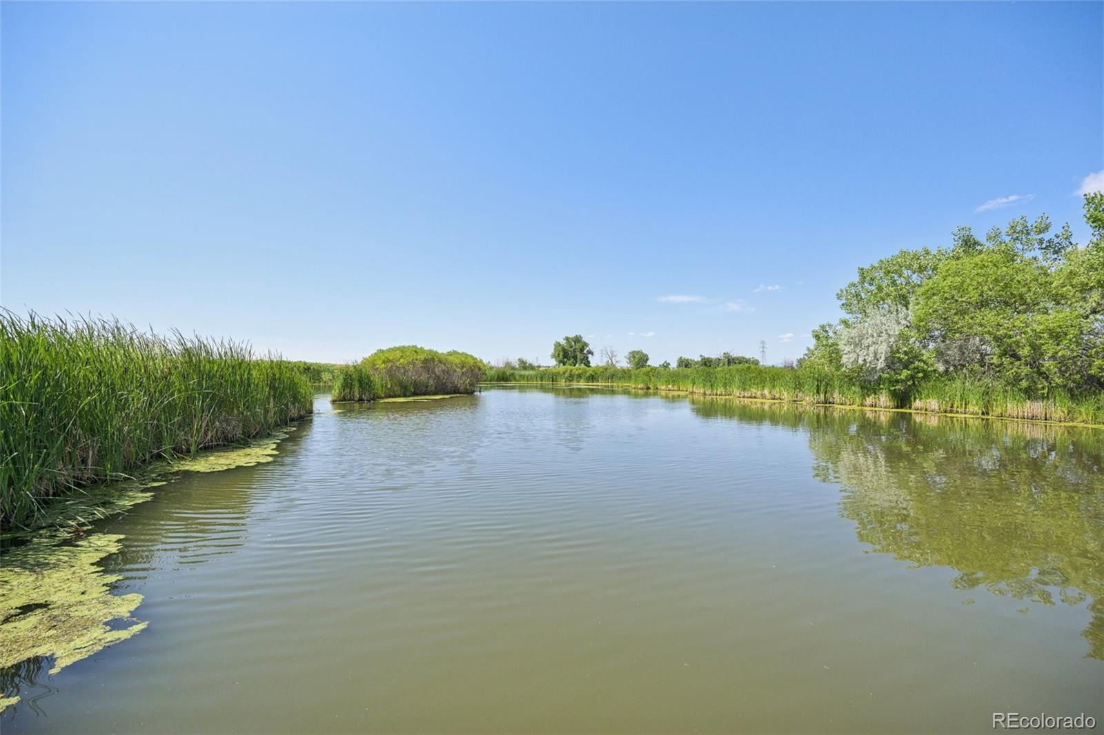 MLS Image #32 for 15612 e 96th way,commerce city, Colorado