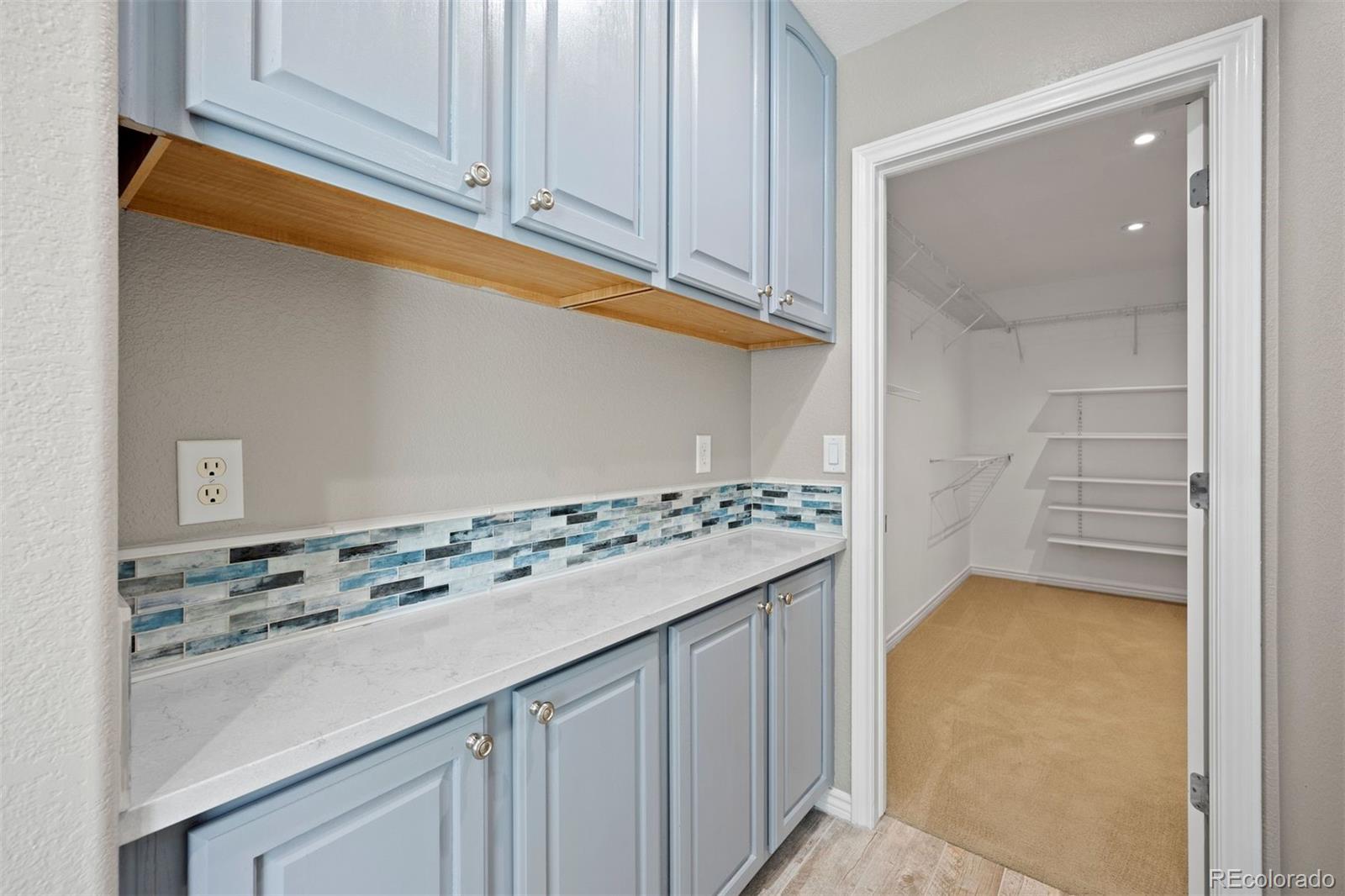 MLS Image #29 for 1798  aquamarine way,castle rock, Colorado