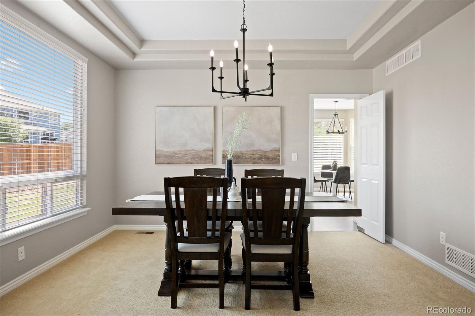 MLS Image #6 for 1798  aquamarine way,castle rock, Colorado