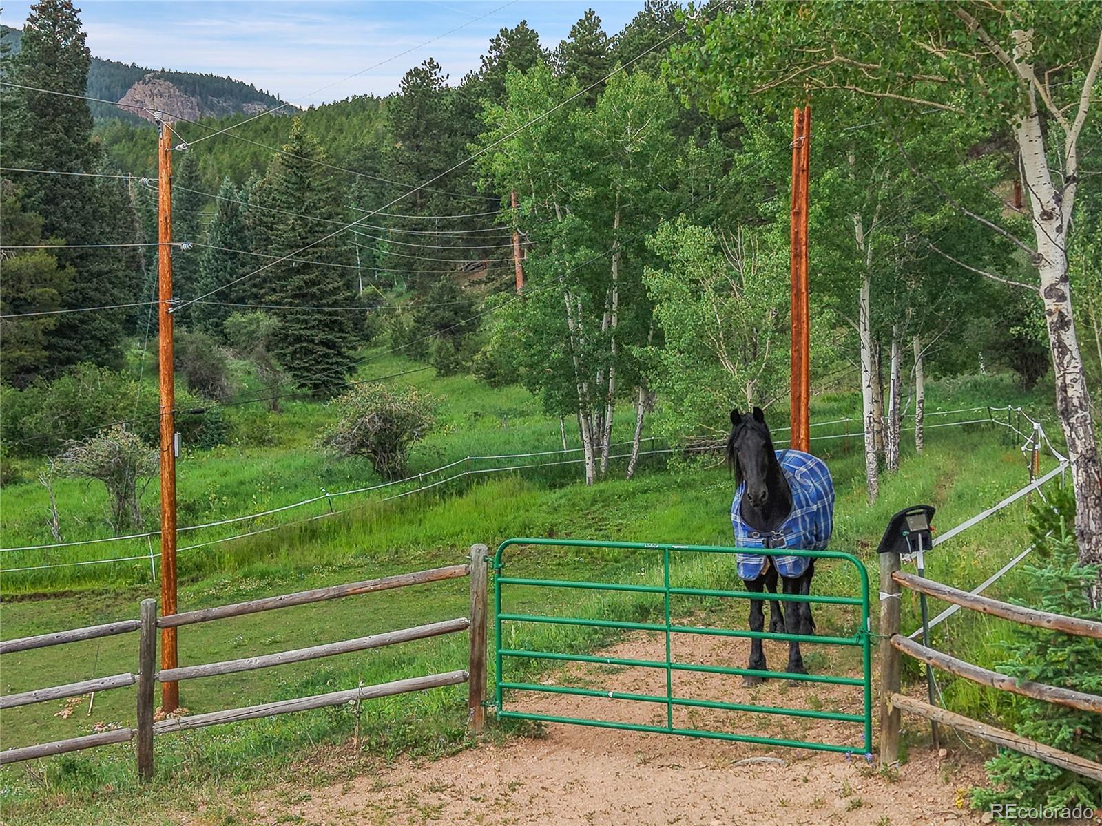 MLS Image #36 for 31112  shadow mountain drive,conifer, Colorado