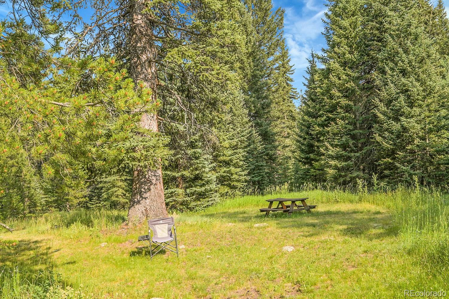 MLS Image #41 for 31112  shadow mountain drive,conifer, Colorado