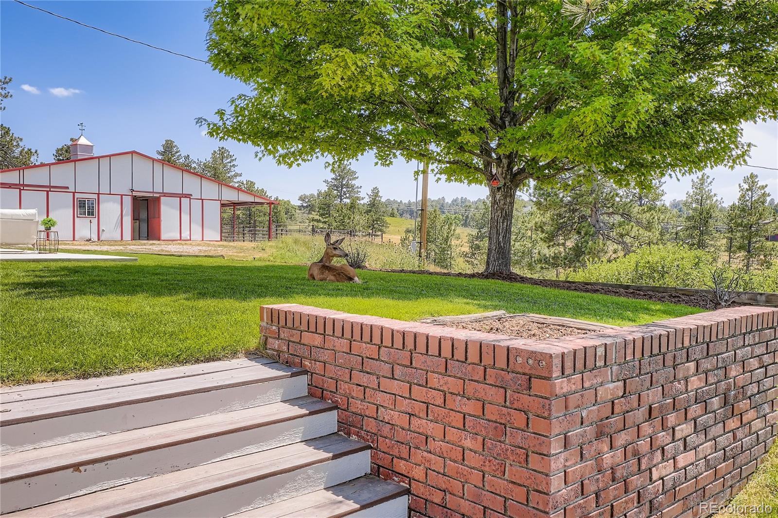 MLS Image #32 for 6685  chalet circle,parker, Colorado