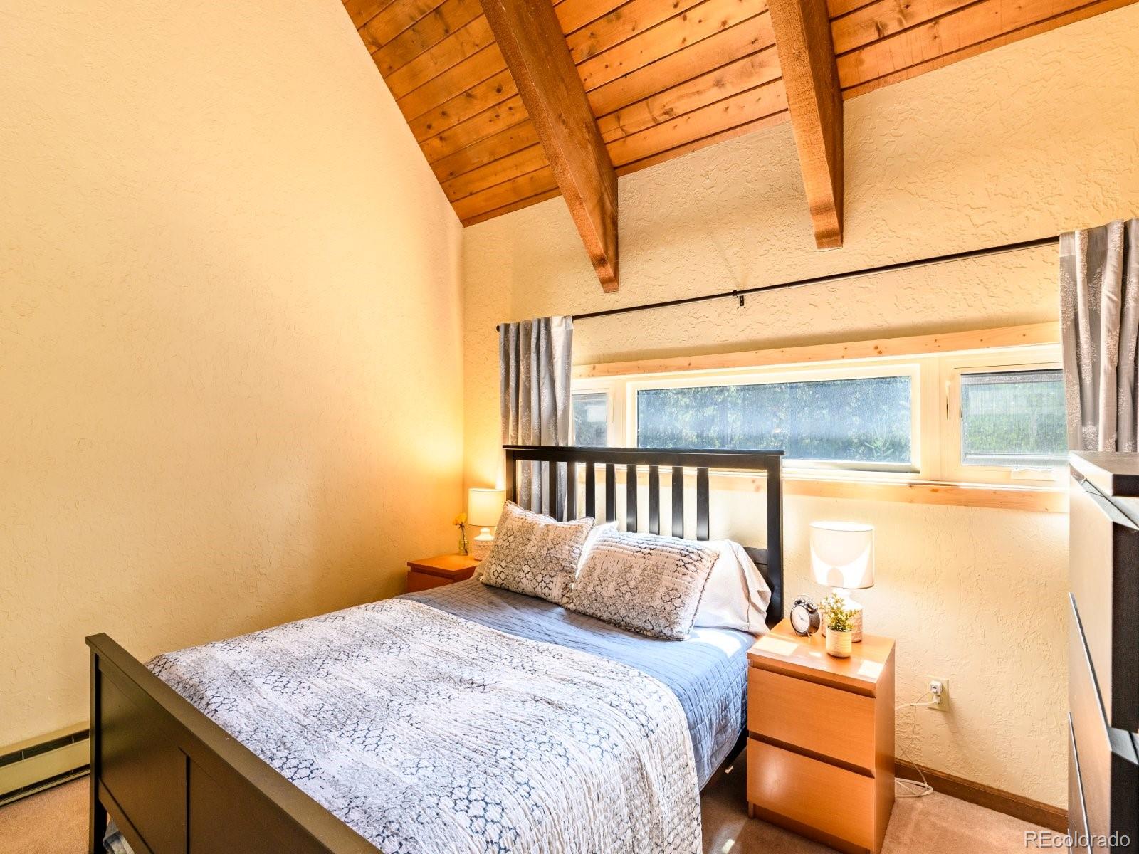 MLS Image #12 for 218  golden crown lane,blue river, Colorado