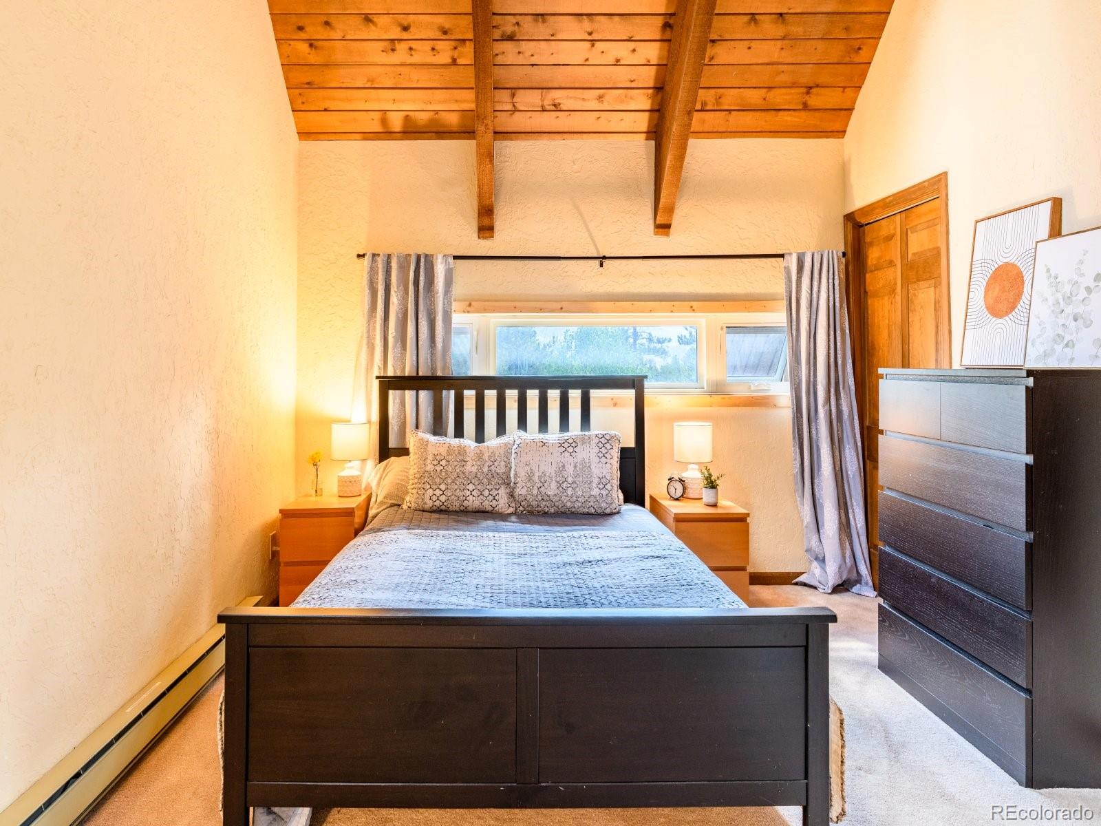 MLS Image #13 for 218  golden crown lane,blue river, Colorado