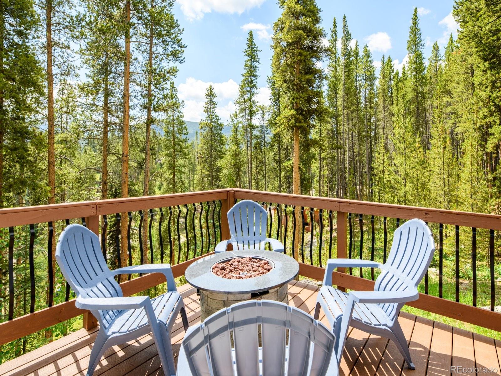 MLS Image #29 for 218  golden crown lane,blue river, Colorado