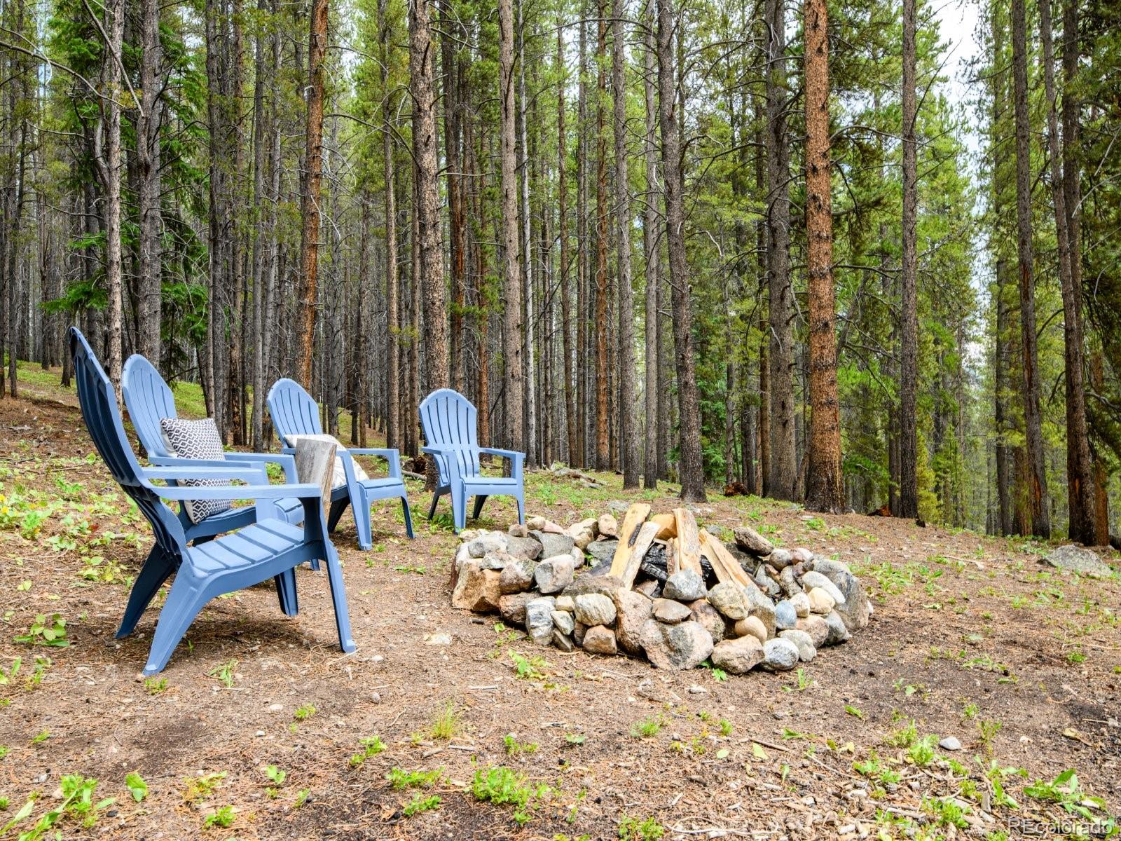 MLS Image #34 for 218  golden crown lane,blue river, Colorado