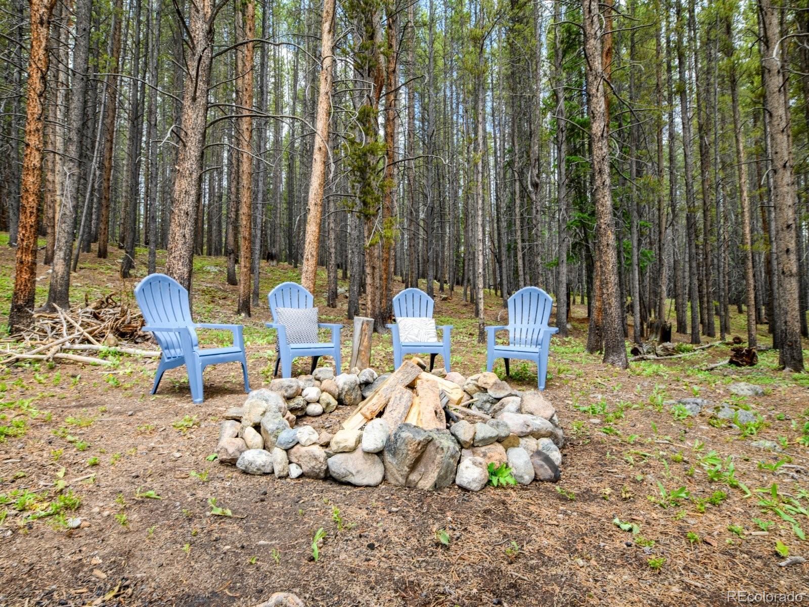 MLS Image #35 for 218  golden crown lane,blue river, Colorado