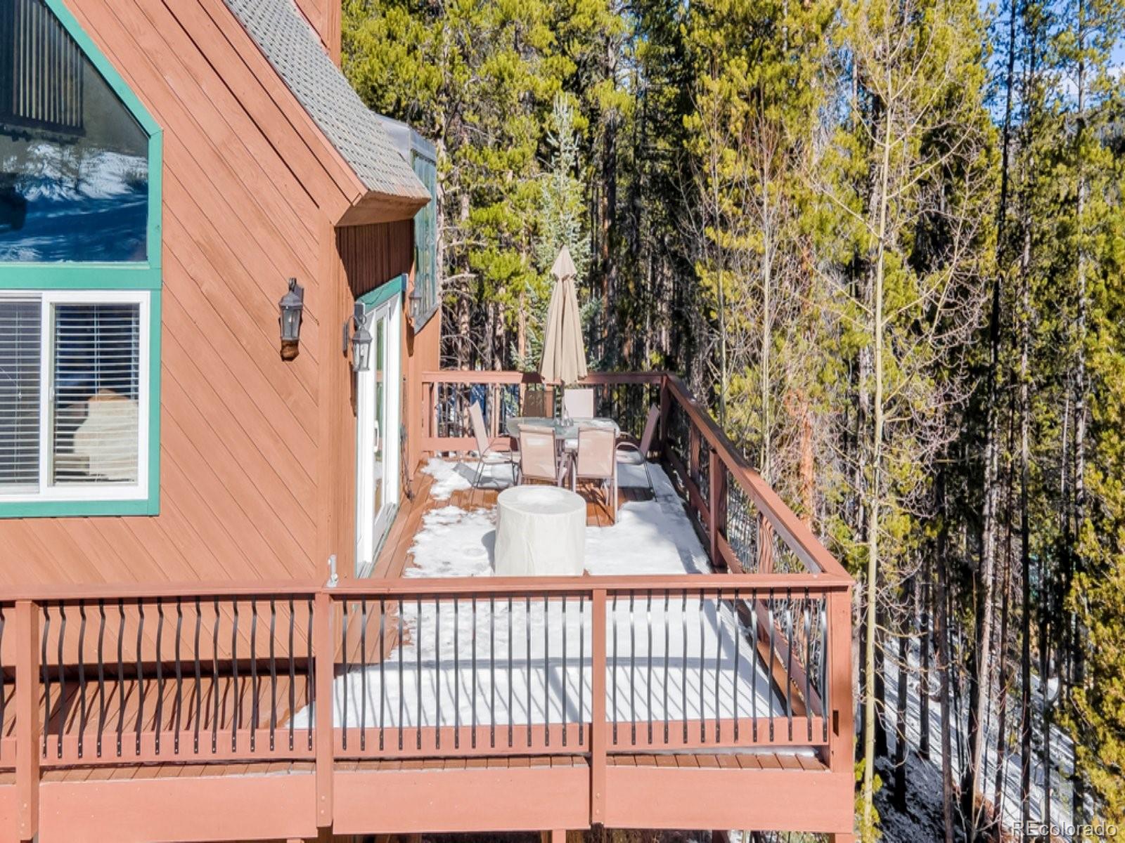 MLS Image #38 for 218  golden crown lane,blue river, Colorado