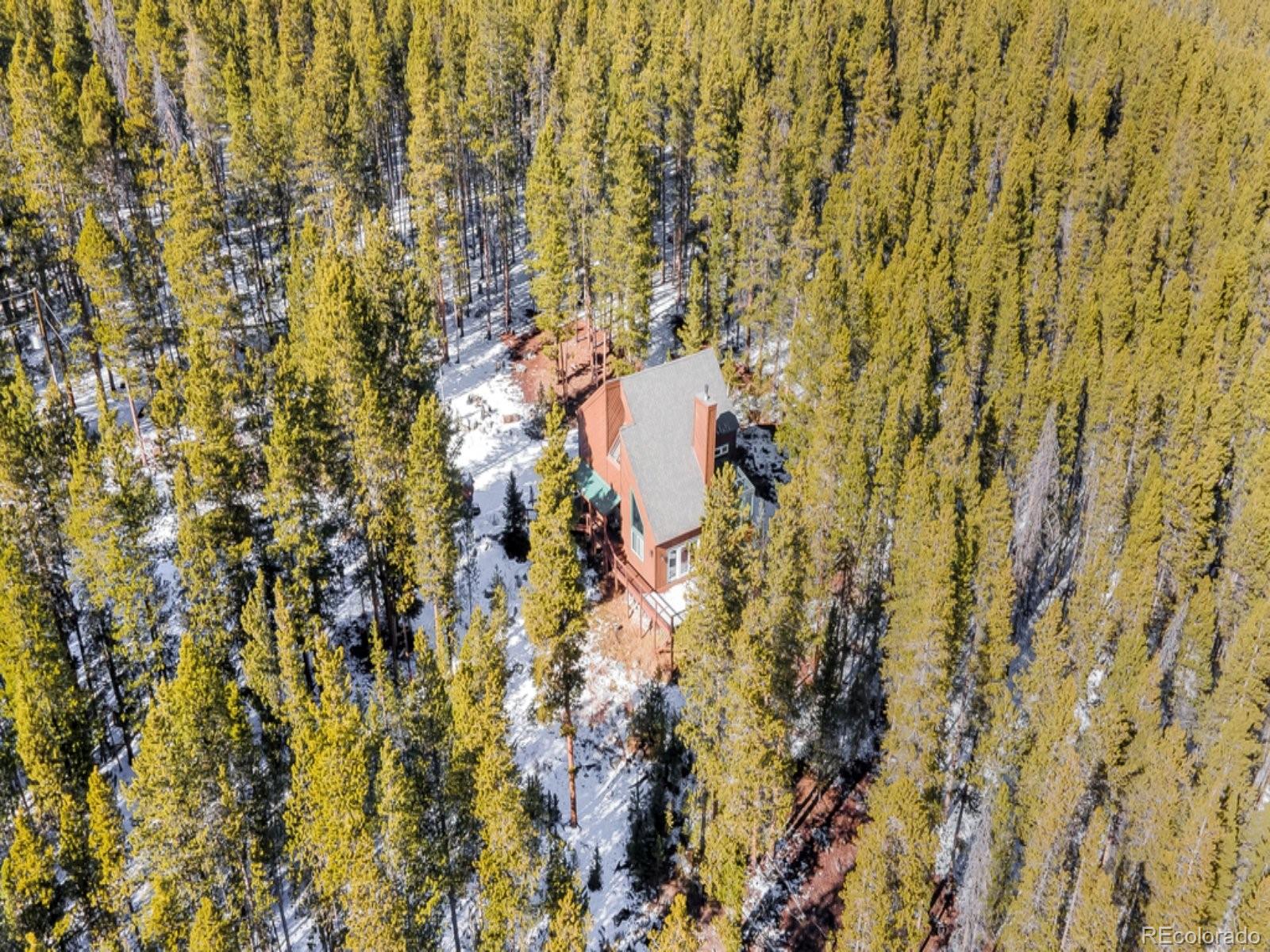 MLS Image #39 for 218  golden crown lane,blue river, Colorado