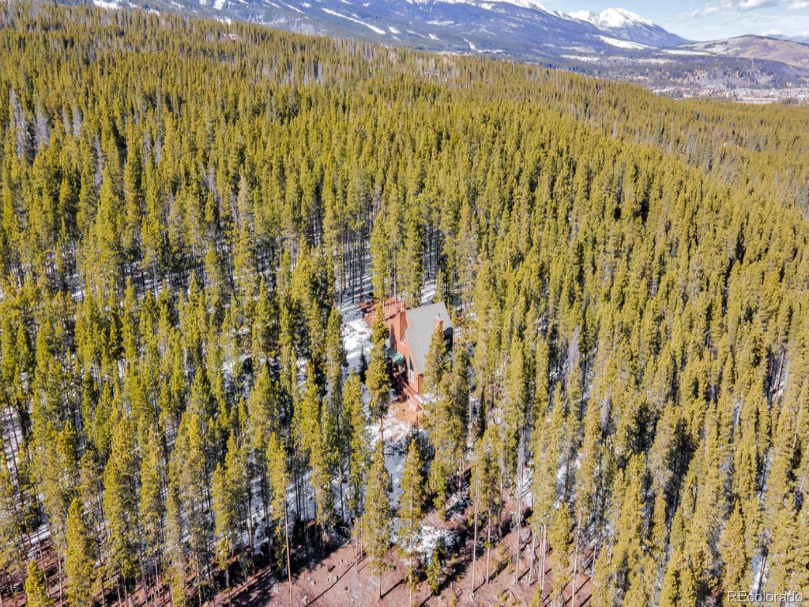 MLS Image #40 for 218  golden crown lane,blue river, Colorado
