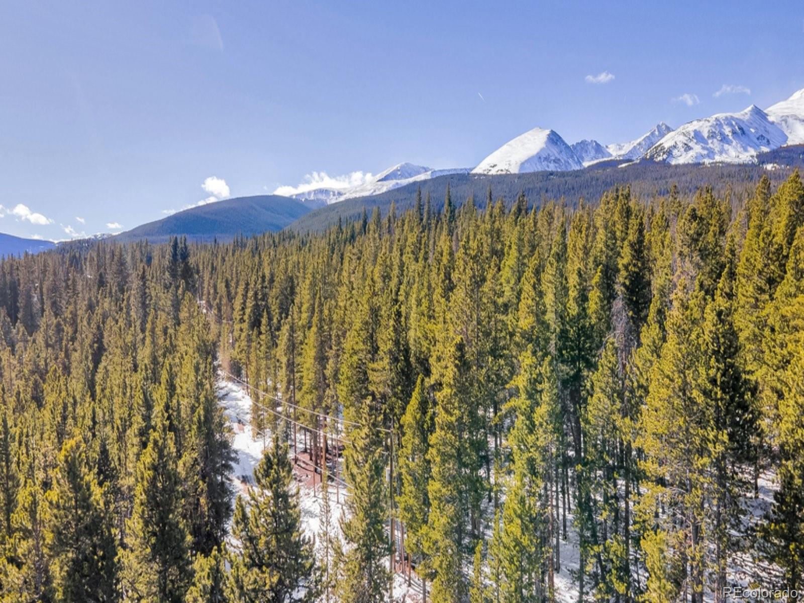 MLS Image #42 for 218  golden crown lane,blue river, Colorado