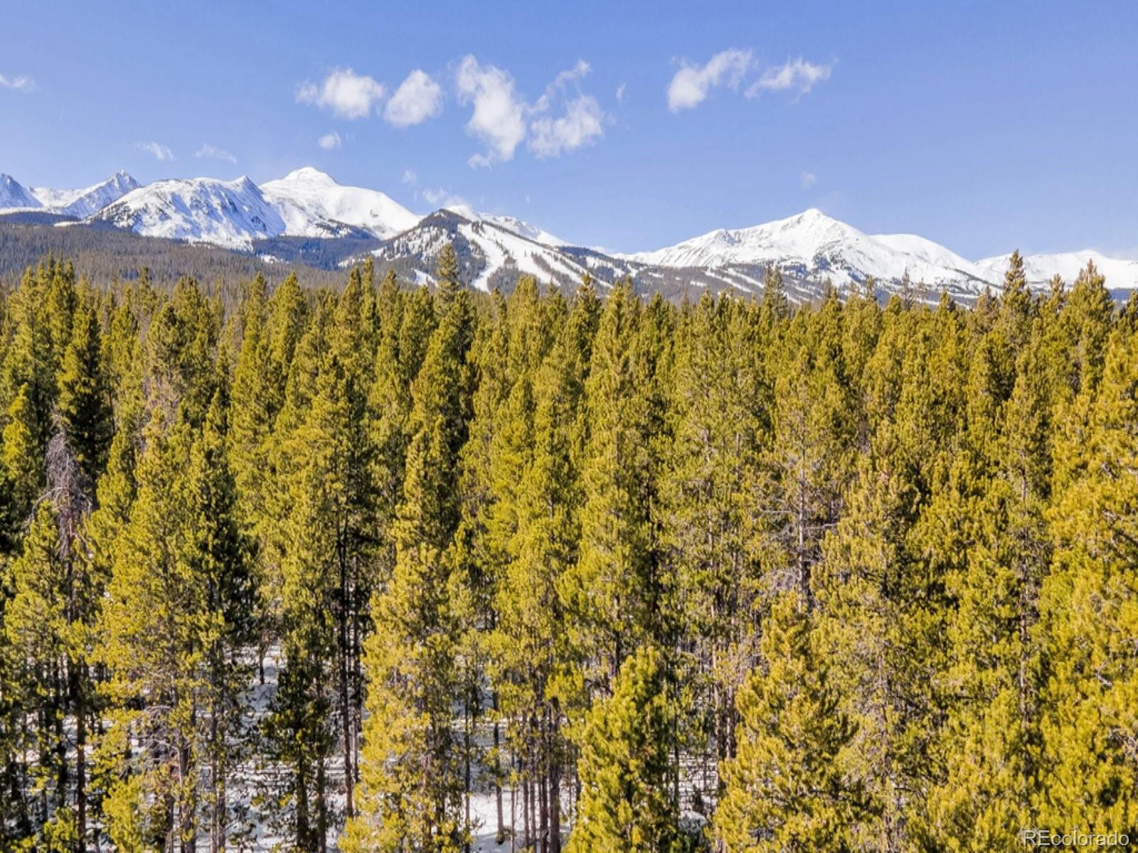 MLS Image #43 for 218  golden crown lane,blue river, Colorado