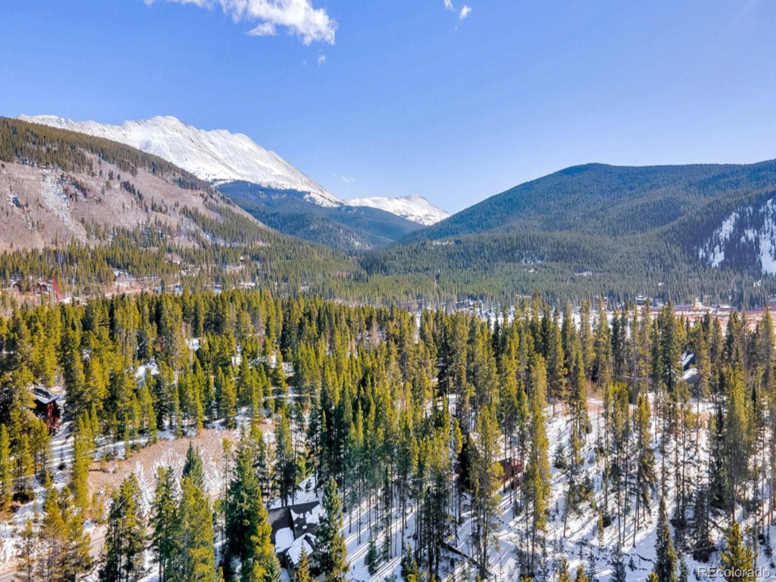 MLS Image #44 for 218  golden crown lane,blue river, Colorado
