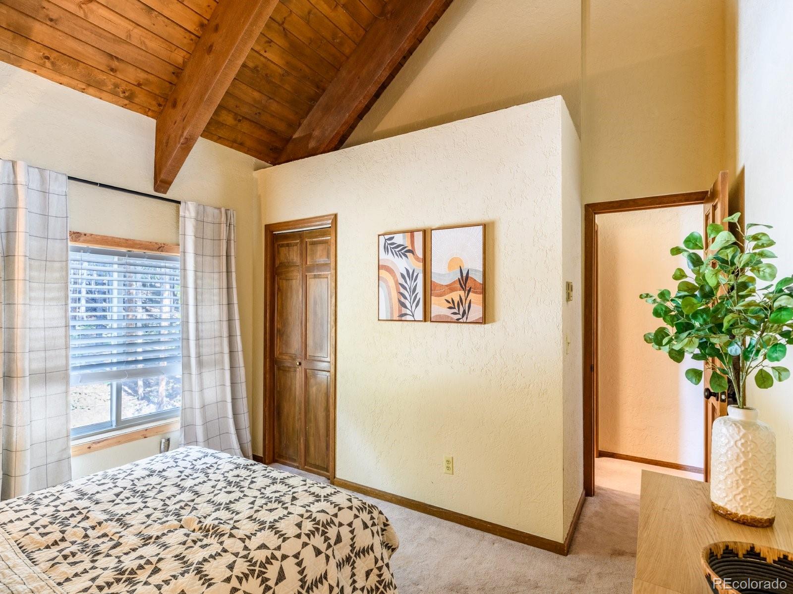 MLS Image #9 for 218  golden crown lane,blue river, Colorado