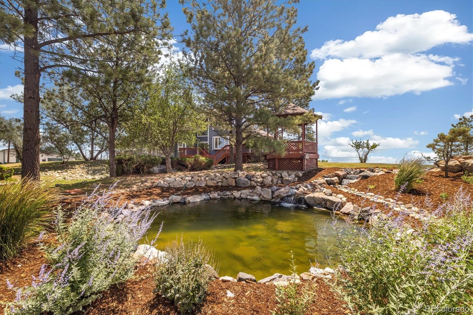 MLS Image #19 for 11921  bear creek drive,franktown, Colorado