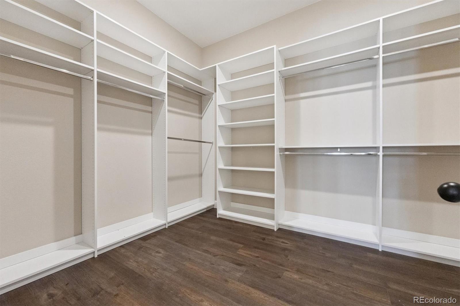 MLS Image #12 for 4099  river oaks street,castle rock, Colorado