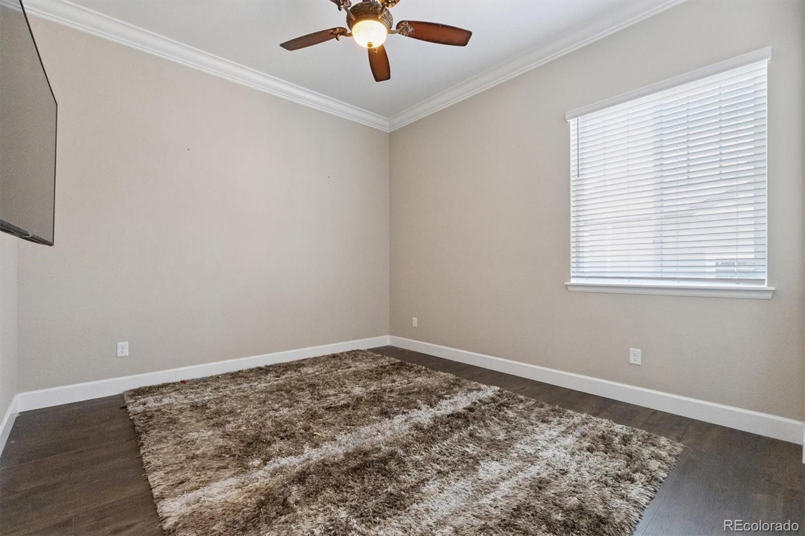 MLS Image #14 for 4099  river oaks street,castle rock, Colorado
