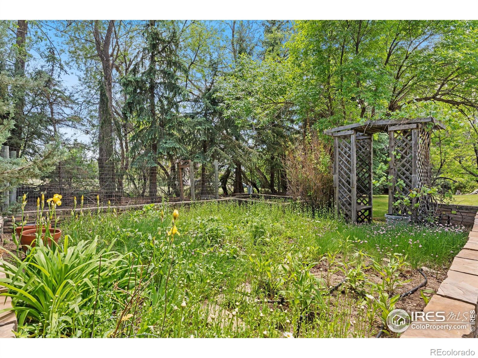 MLS Image #37 for 2913  shore road,fort collins, Colorado