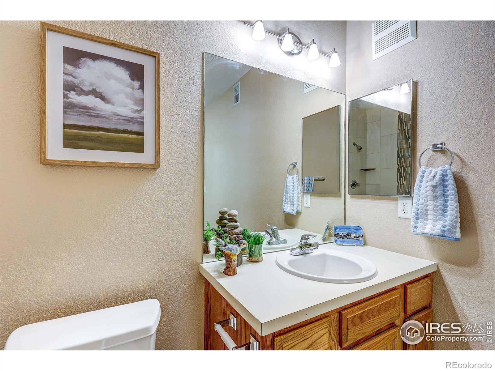 MLS Image #10 for 2131  grays peak drive,loveland, Colorado