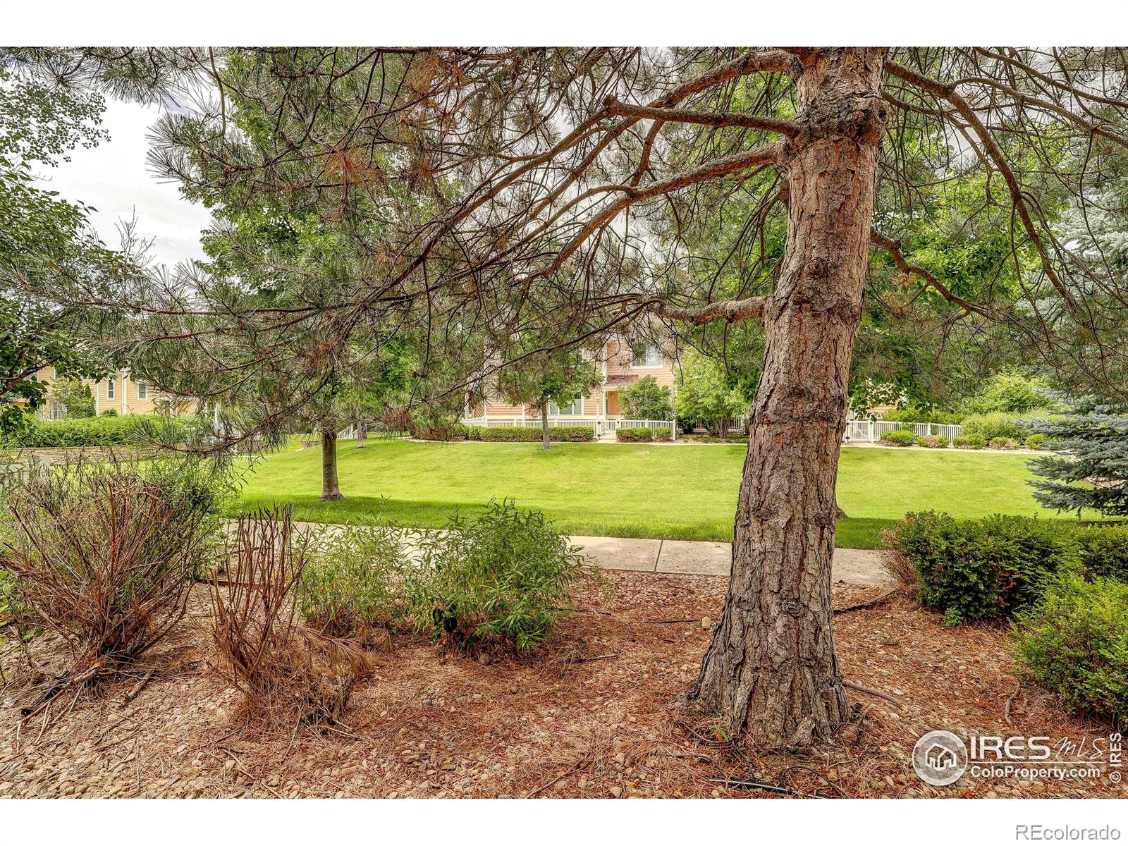 MLS Image #23 for 2131  grays peak drive,loveland, Colorado
