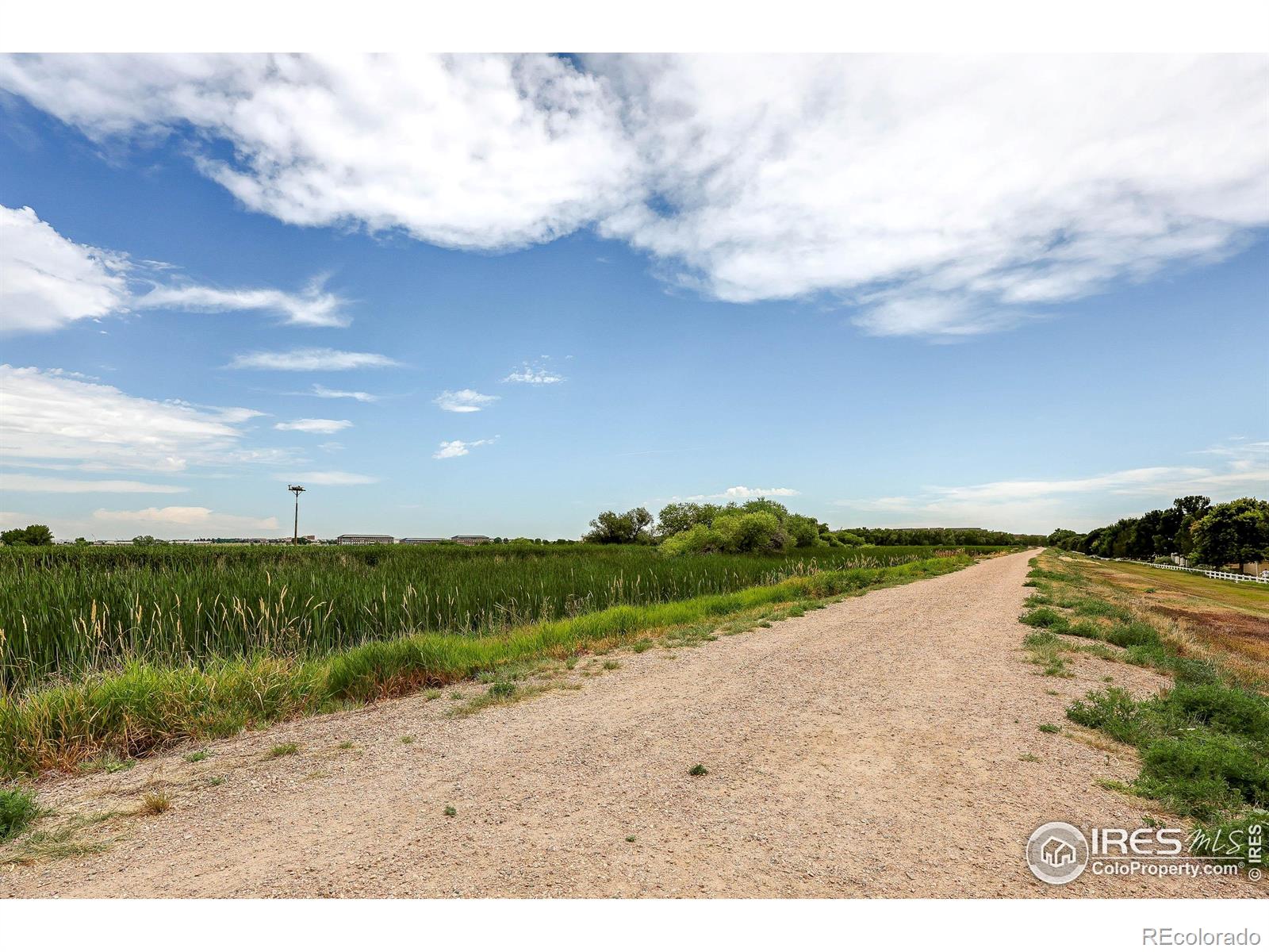 MLS Image #26 for 2131  grays peak drive,loveland, Colorado