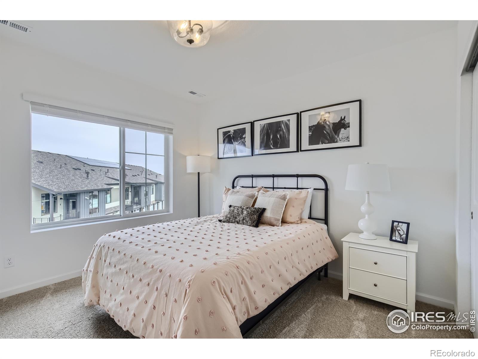 MLS Image #12 for 945  abbott lane,fort collins, Colorado