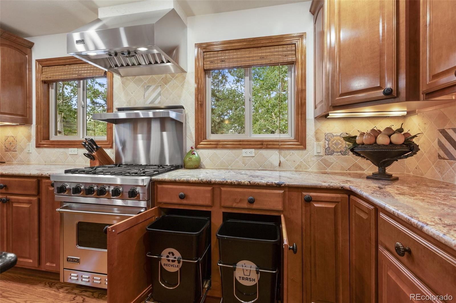 MLS Image #11 for 1350  chippewa trail,woodland park, Colorado