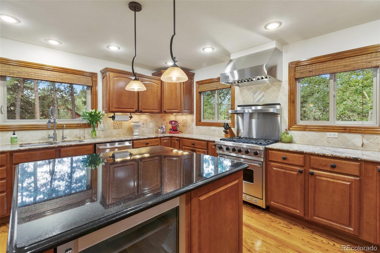 MLS Image #12 for 1350  chippewa trail,woodland park, Colorado