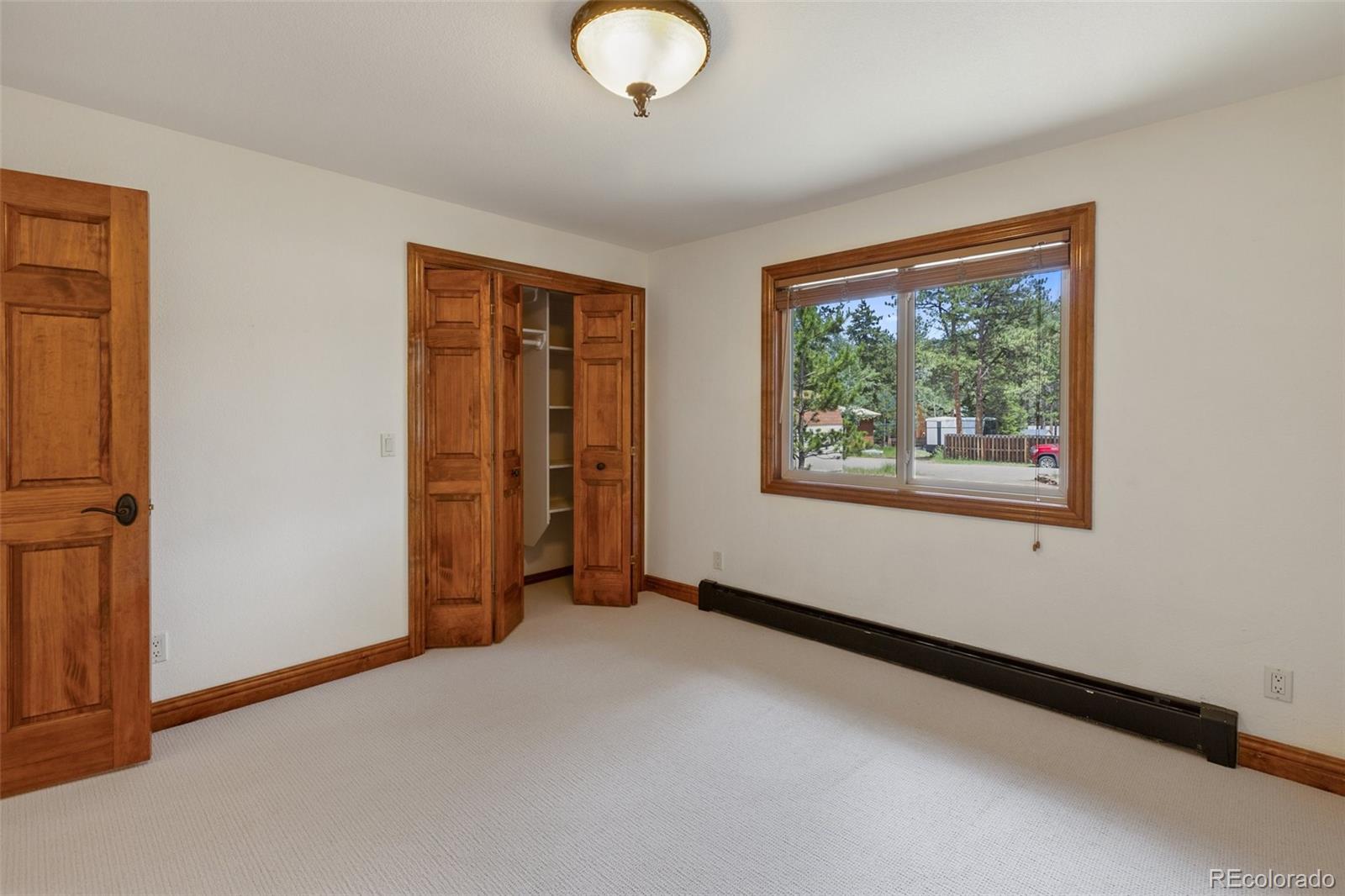 MLS Image #20 for 1350  chippewa trail,woodland park, Colorado