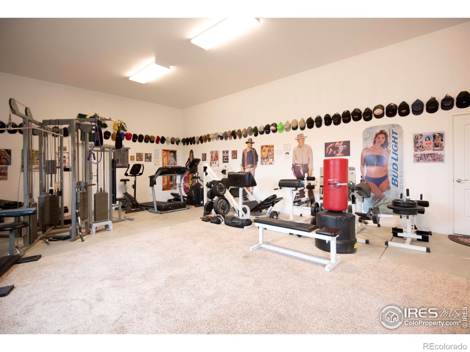 MLS Image #14 for 18441  bandana lane,wellington, Colorado