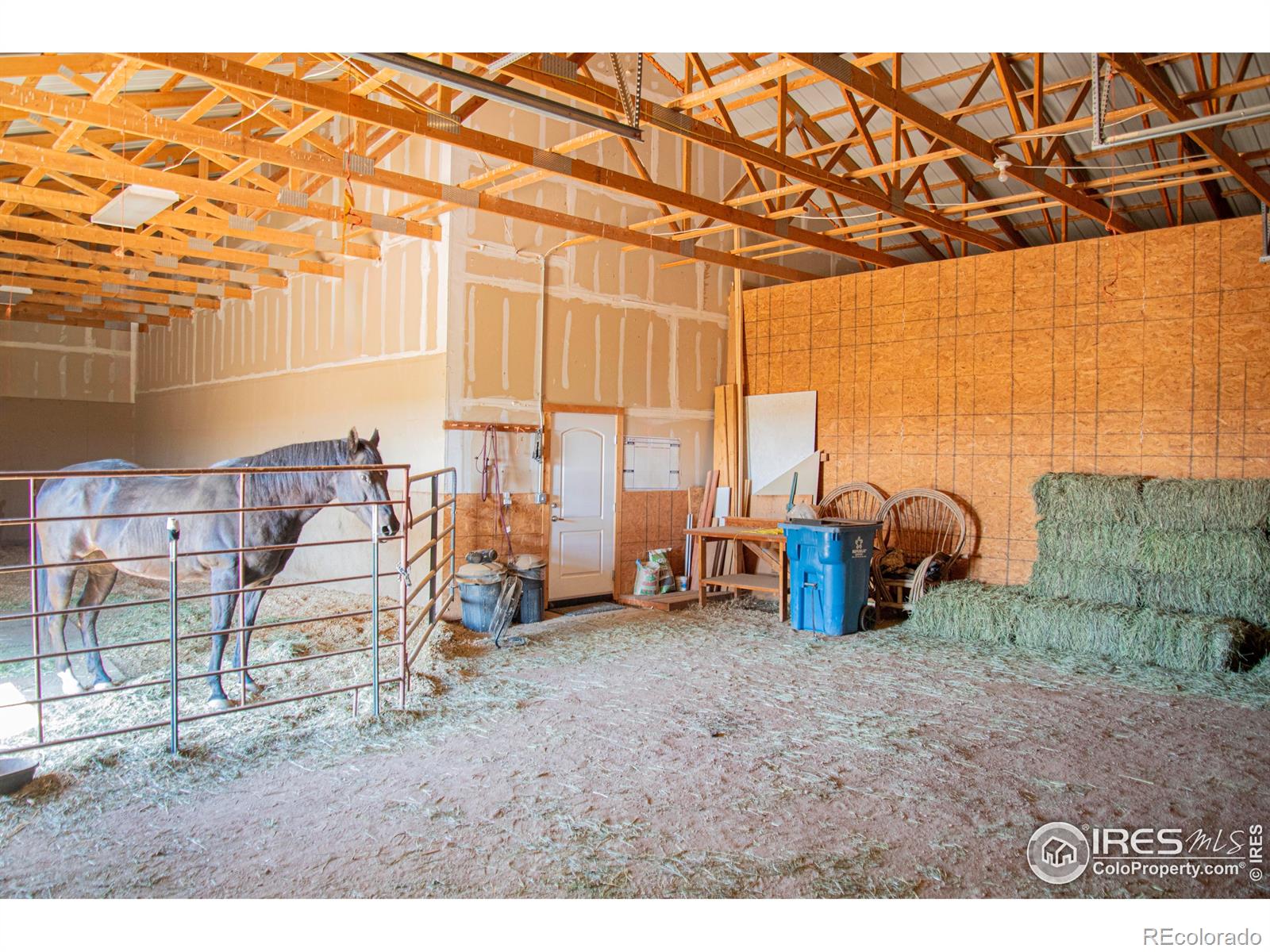 MLS Image #26 for 18441  bandana lane,wellington, Colorado