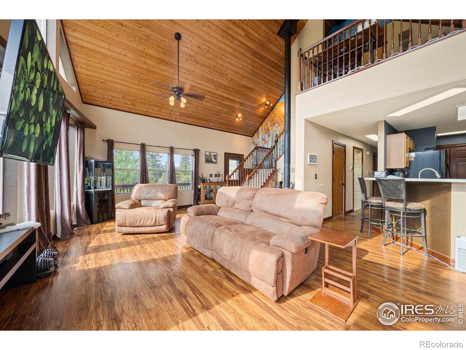 MLS Image #10 for 228  mount everest drive,livermore, Colorado