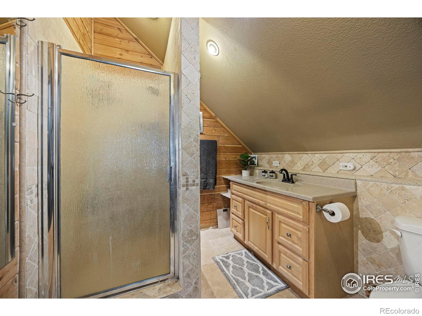 MLS Image #18 for 228  mount everest drive,livermore, Colorado