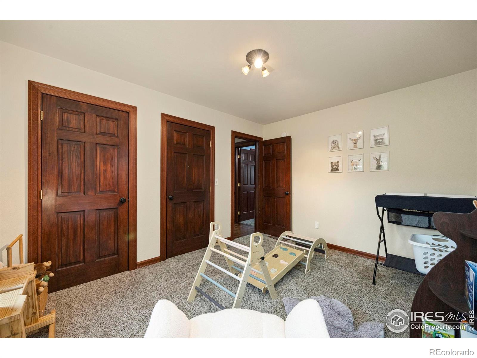 MLS Image #21 for 228  mount everest drive,livermore, Colorado