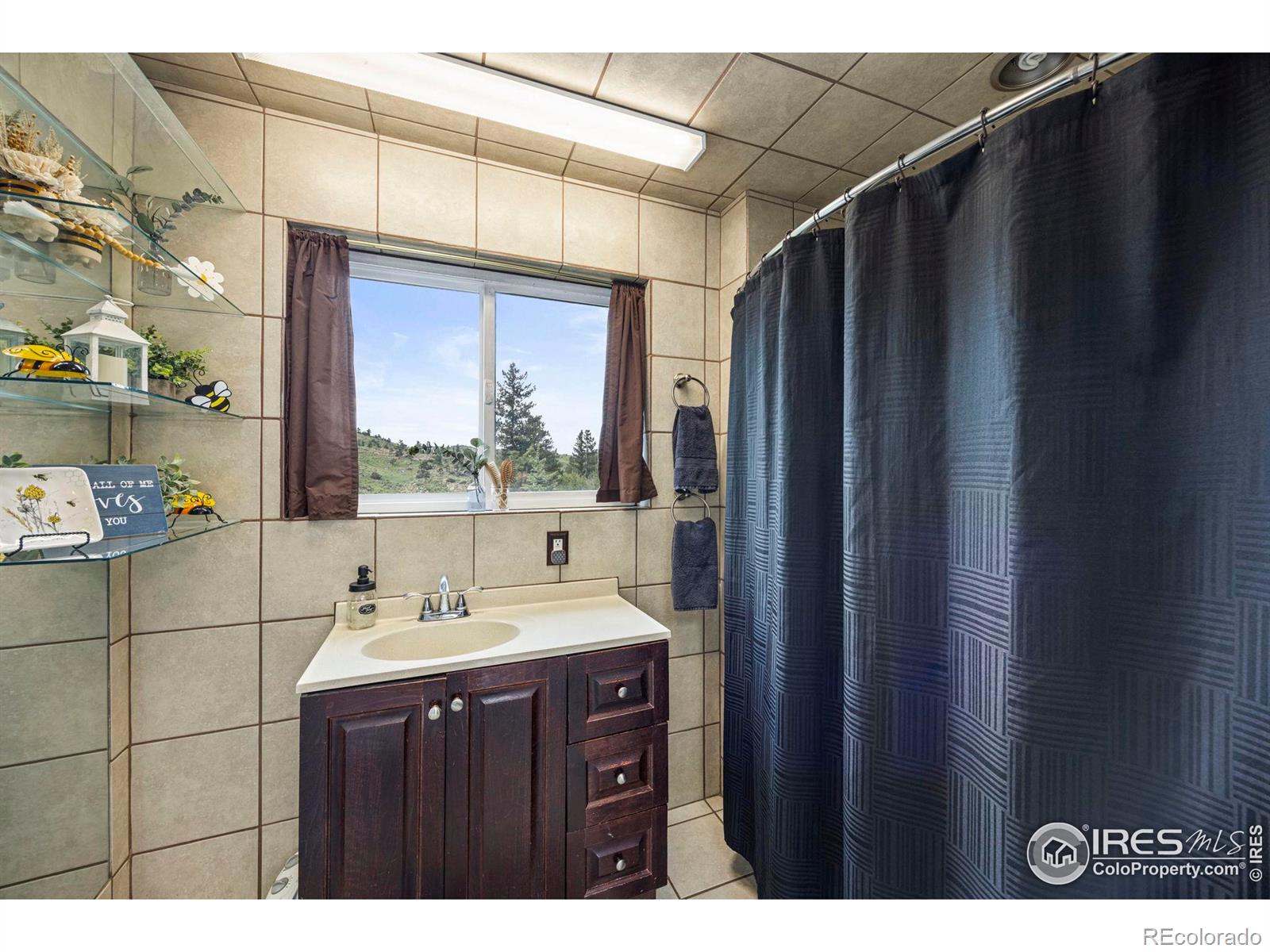 MLS Image #23 for 228  mount everest drive,livermore, Colorado