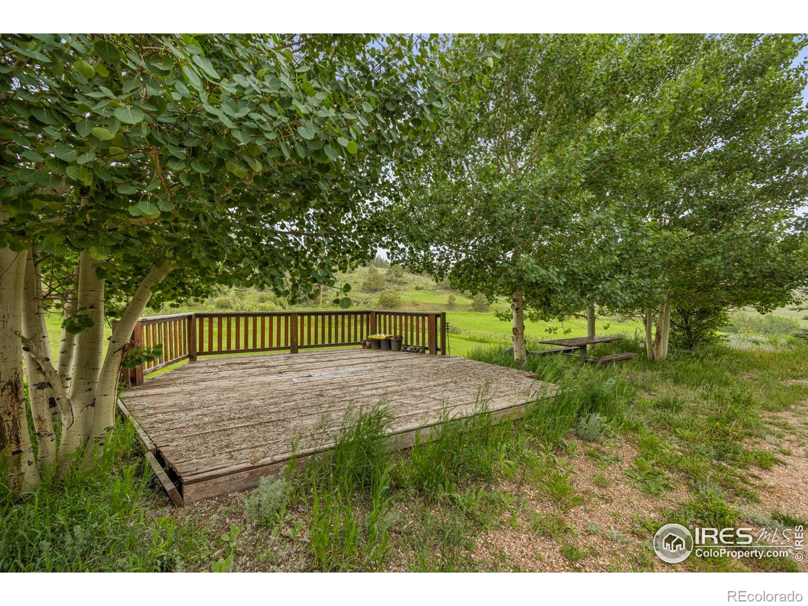 MLS Image #33 for 228  mount everest drive,livermore, Colorado