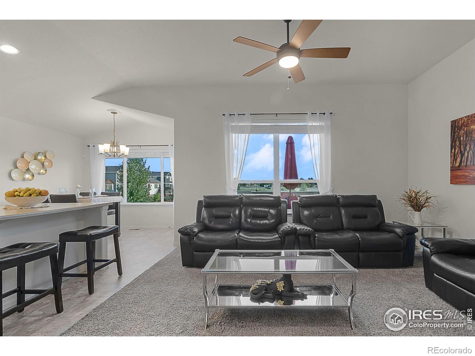 MLS Image #13 for 1774  thrive drive,windsor, Colorado